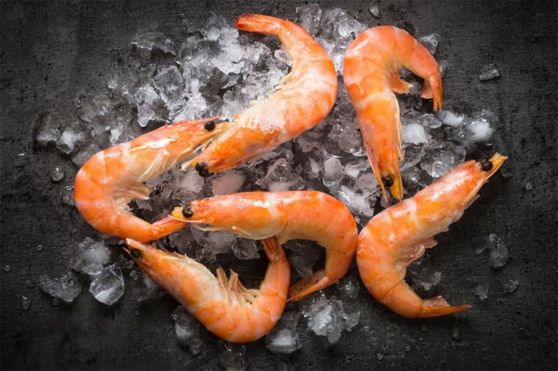 Pakistan Marks Milestone with First Export of Farm-Raised Shrimps to Vietnam